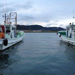 深日漁港でのんびりファミリーサビキ★アジ14匹★