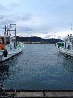 深日漁港でのんびりファミリーサビキ★アジ14匹★