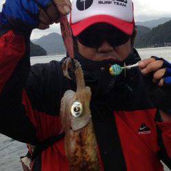 伊根　エギングでアオリイカ5ハイは墨族でゲット！