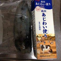 明石港でエギング、西から東へするとトントントンと3杯GET