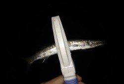 谷川漁港のアジング、底から表層までアタリありコンスタント♪