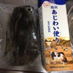 明石港でエギング、西から東へするとトントントンと3杯GET