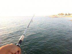 淡路、投げ釣りでキスとベラ