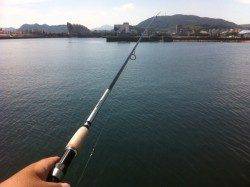 佐野～塩尾エリアでの投げ釣り釣果