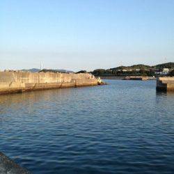 野島・加尾漁港　ランガンエギングで新子サイズ