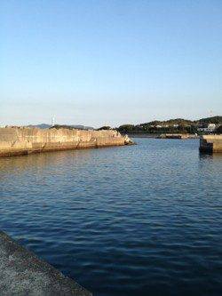 野島・加尾漁港　ランガンエギングで新子サイズ