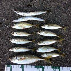 衣奈漁港でアジング　ヒットカラーはクリア系ラメ