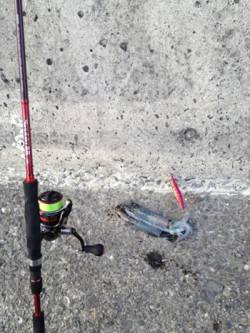 野島・加尾漁港　ランガンエギングで新子サイ…