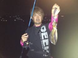 雑賀崎でエギング、波止場で何とか2杯確保し…