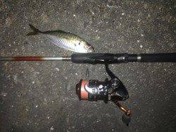 舞洲　底ズル引きオンリーのアジングでアジ数釣り☆