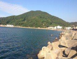 衣奈漁港でアジング　ヒットカラーはクリア系ラメ