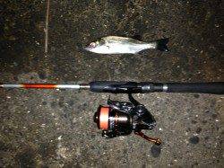 高砂埋立地で大アジ狙い、マグバイトでアジング