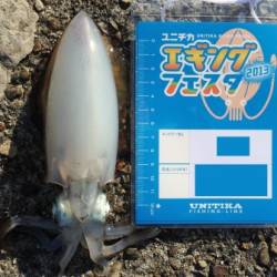 白浜の湾内でキャスト、海中の岩周りで何とか2杯