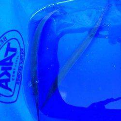 南芦屋浜 ライントラブルで納竿も、サヨリは当分狙えそう