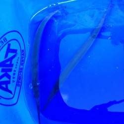 南芦屋浜 ライントラブルで納竿も、サヨリは当分狙えそう