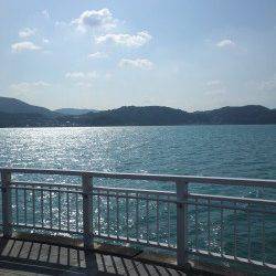 マリーナシティー投げサビキでグレが釣れました(^-^)/