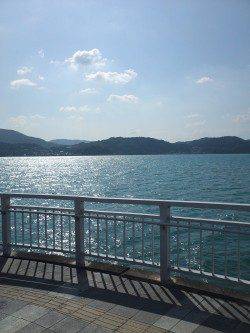 マリーナシティー投げサビキでグレが釣れました(^-^)/