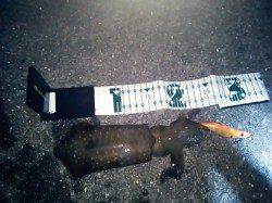 谷川漁港ナイトエギング　〜胴長15cm位のアオリイカ〜