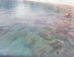 柴山港でエギング、リリース多数も最大は16cmくらいでした