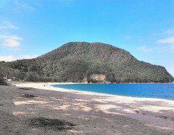 柴山港サビキでアジ釣り　お子様大喜び♪