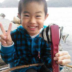 流木ロッドでサビキ釣り　仕掛はボウズのがれです★