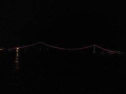 明石港でのエギング釣果