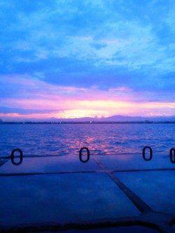 岸和田エリア、ワインドで太刀魚の釣果