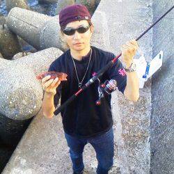 深日漁港　アジングでガシラが食ってきました♪