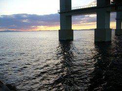 りんくうでタチウオ狙い・・・釣果はアジのみでした