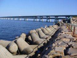 りんくう　ジグサビキでアジ狙い　６時半から７時までが時合い