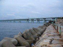 りんくうでアジget!　タチウオ狙いはアタリなし