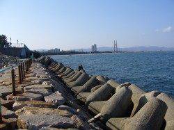 りんくう　アジングでアジ・エギングでアオリ狙い　エギのロストで納竿