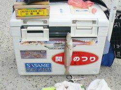 久々に強烈な当たりで２３センチの良型キス