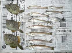 佐野周辺、キスの投げ釣り状況