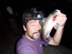 舞洲でのアジング釣果