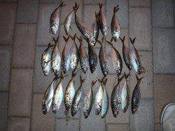 メタルアジング楽し過ぎます♪