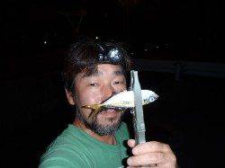 舞洲でアジング、ポツポツ釣れました