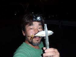 舞洲でアジング、ポツポツ釣れました