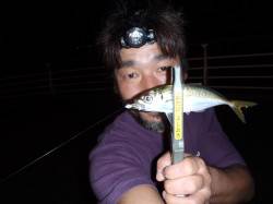 舞洲でのアジング、アジ依然絶好調！