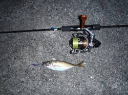 まさかの激渋。。。舞洲でのアジング