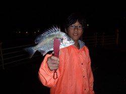 舞洲へ太刀魚＆アジ狙い、キビレにタチウオGET！