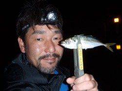 【雨の止み間に】舞洲アジング、タイミングがあって入れ食い！