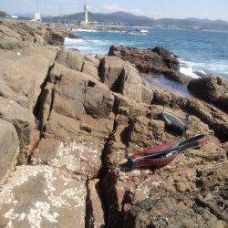 御坊カツオ島へ、フカセとヤエンとエギングの釣果