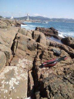 御坊カツオ島へ、フカセとヤエンとエギングの釣果