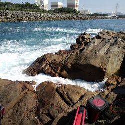 渡船を利用して磯へ、フカセでヘダイにシマアジ他