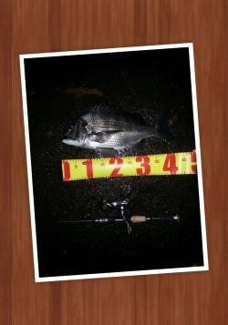 舞洲でチニング、SLKでマチヌ42㎝を仕留…