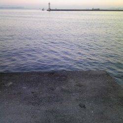 飾磨～広畑でのウキ釣り釣果