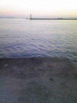 飾磨～広畑でのウキ釣り釣果