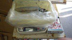 堺漁港　エギングでアオリイカ2ハイの釣果