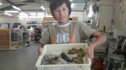 堺漁港　ヤエン＆エギでアオリイカ　他カワハ…